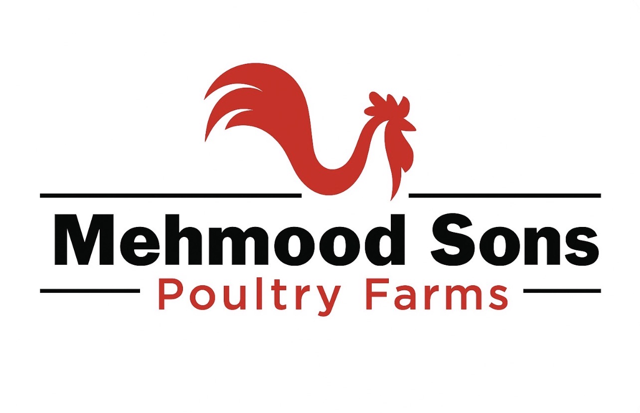 Mehmood Sons Poultry Farms